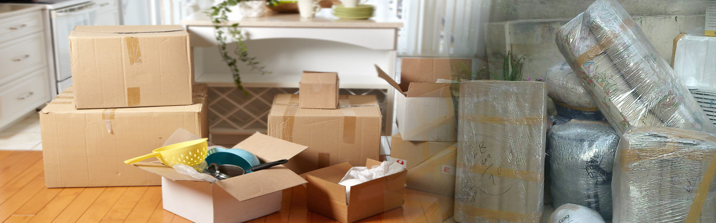 Packaging Service in Gurgaon | Loading Unloading Service Gurgaon | Storage and Warehouse Services Gurgaon